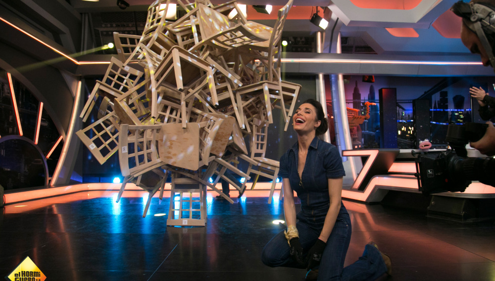 silla de haya en el hormiguero